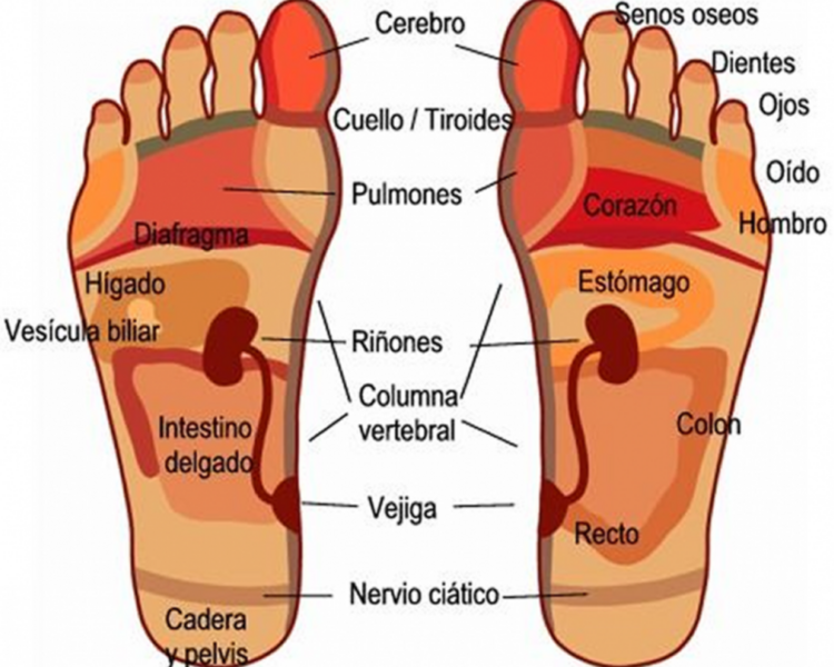 Podología Clínica + Reflexología (30 min) 