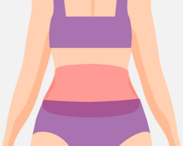 Abdomen 
