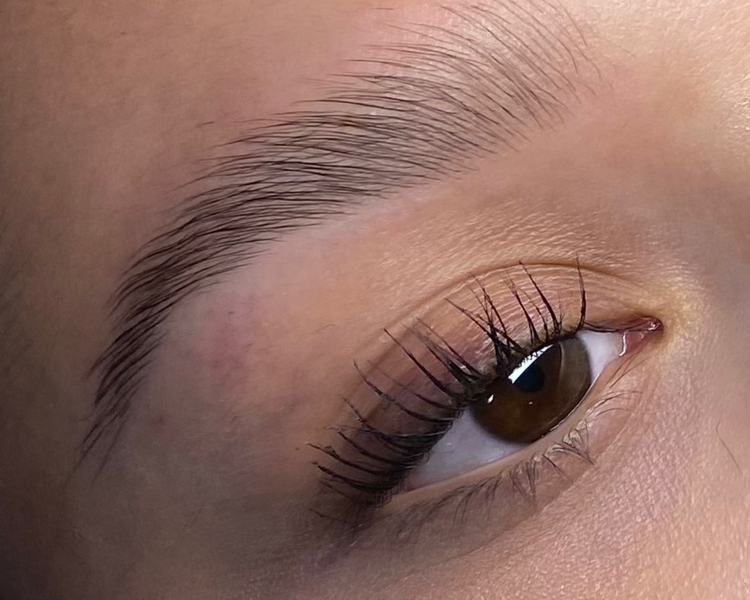 Laminado de cejas ( incluye el perfilado + visagismo)