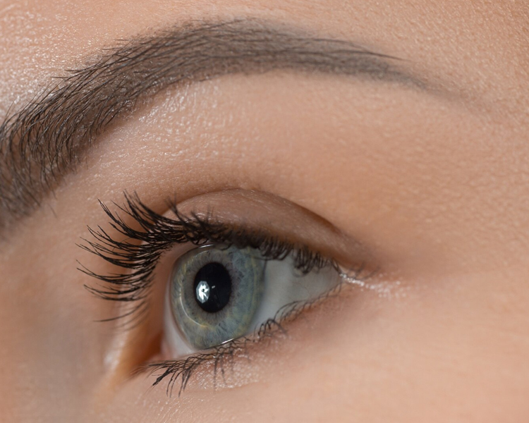 Lifting o Permanente de Pestañas + Laminado y Perfilado de Cejas (color de regalo)