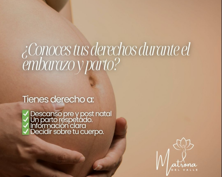 2603001(5) Atención Integral de Matrona en obstetricia y perinatología, Control embarazo