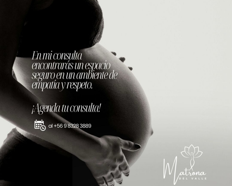 2603001(5) Atención Integral de Matrona en obstetricia y perinatología, Control embarazo