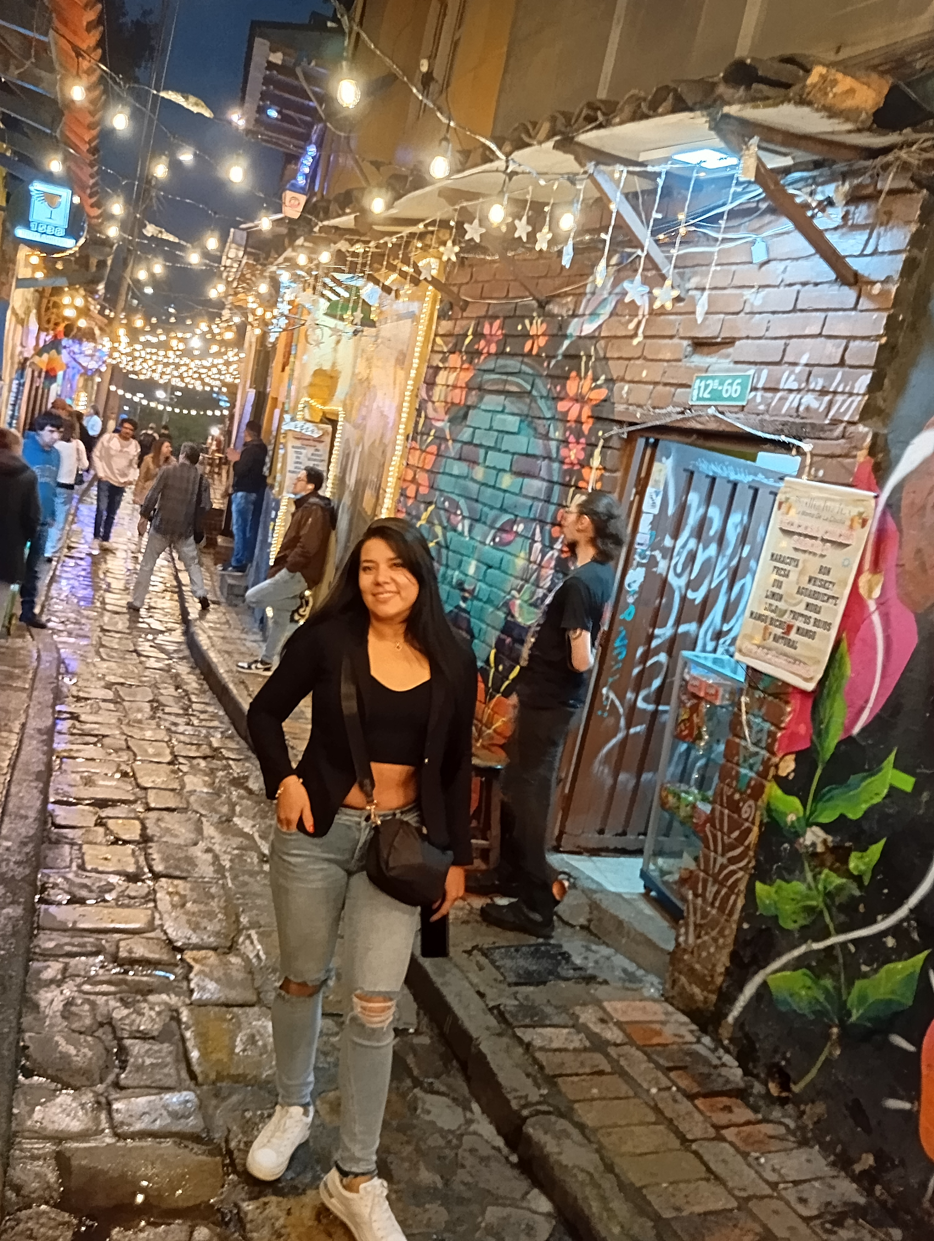 DIANA CAROLINA RAMIREZ JIMENEZ