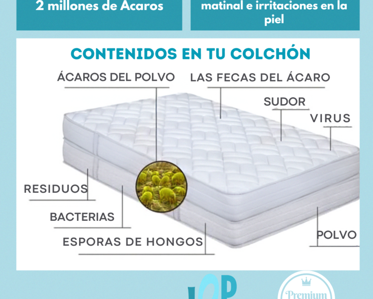 Limpieza de Colchón Tamaño King Size