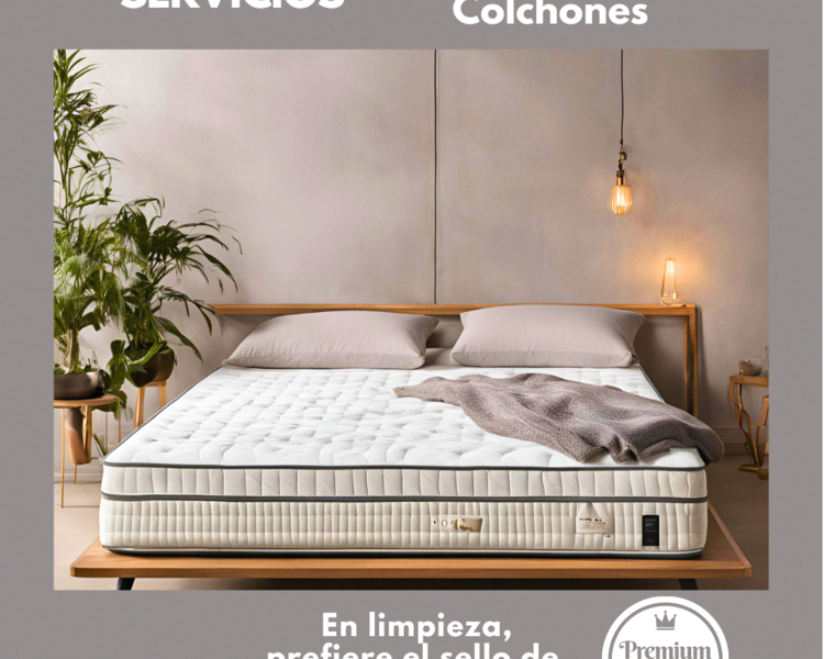 Limpieza de Colchón Tamaño 2 Plazas