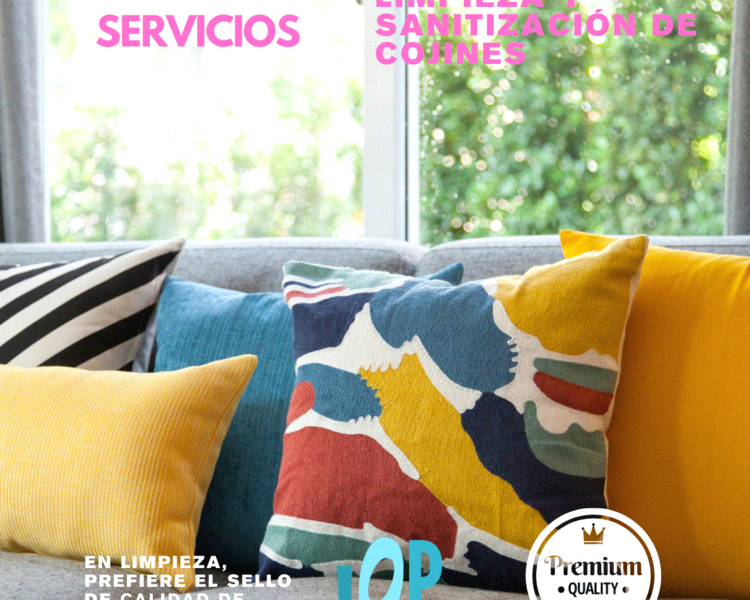 Limpieza y Sanitización de Cojines por unidad