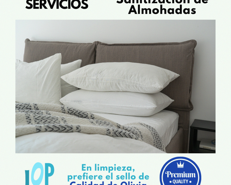 Sanitización de Almohadas por unidad
