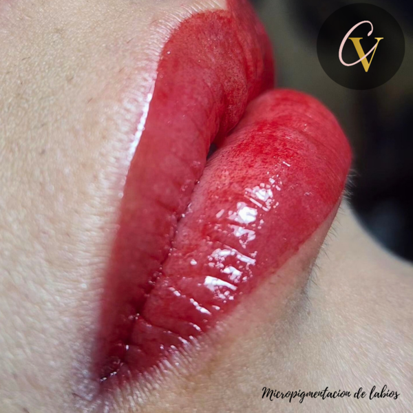 Micropigmentacion labial 💋
