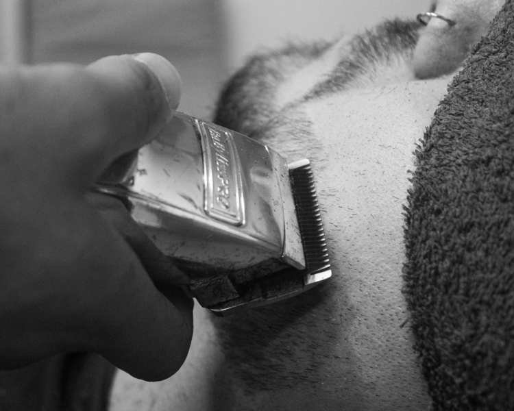 Barba simple 