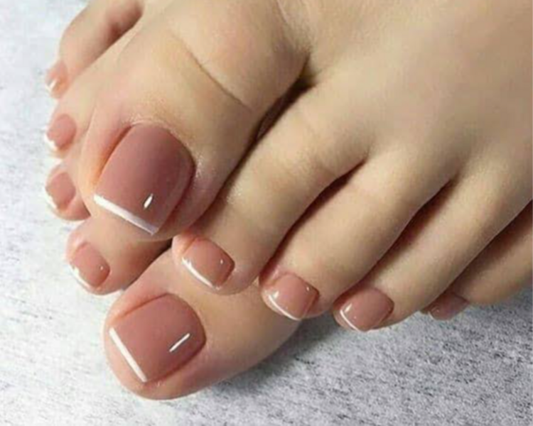 Acripie set completo 