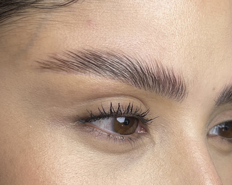 Laminado + perfilado de cejas