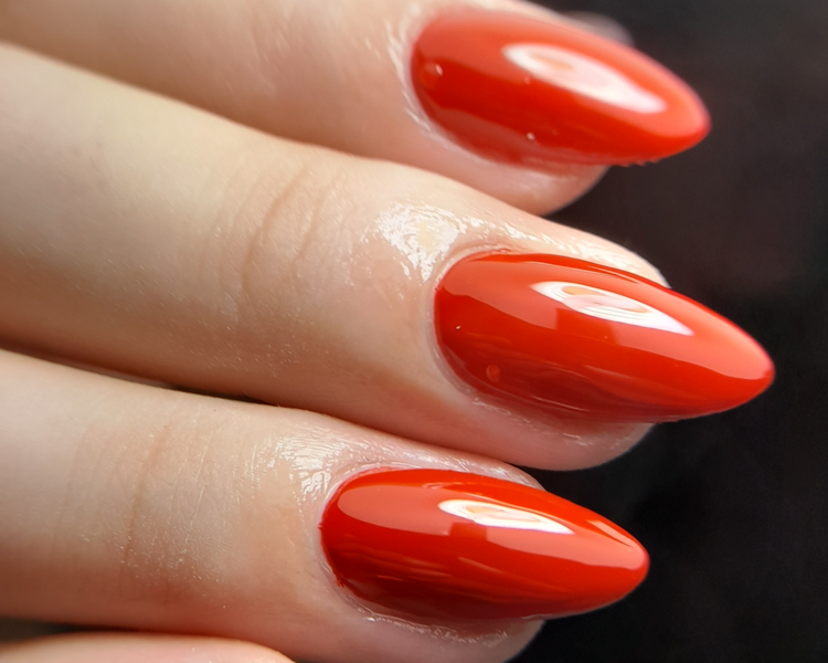 Uñas Gelificadas Construcción  Hasta N2 LISAS.