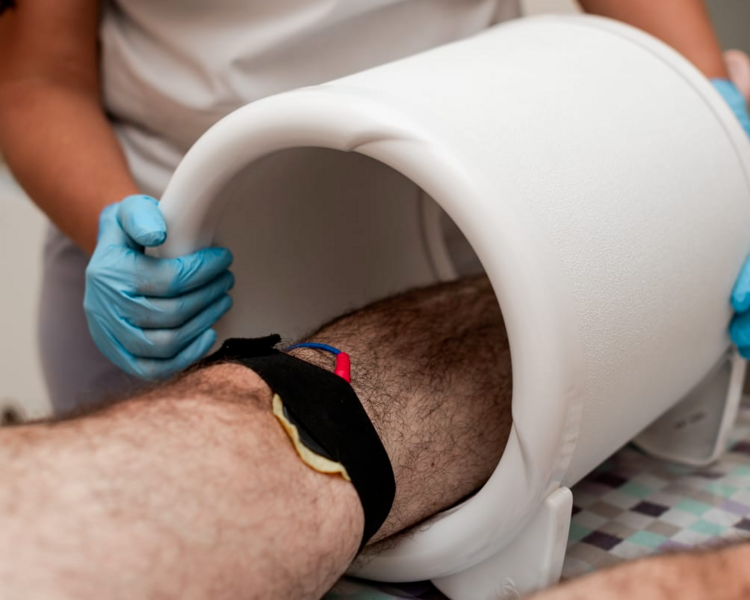 KINESIOLOGIA PARTICULAR