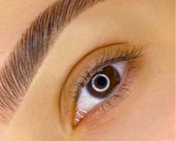 Brow Lamination Brasileño