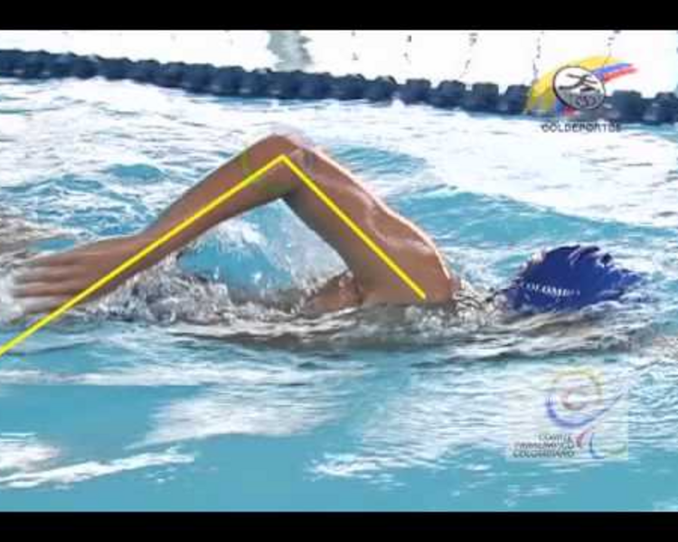 Analisis Biomecanico de Natacion 03 estilos 