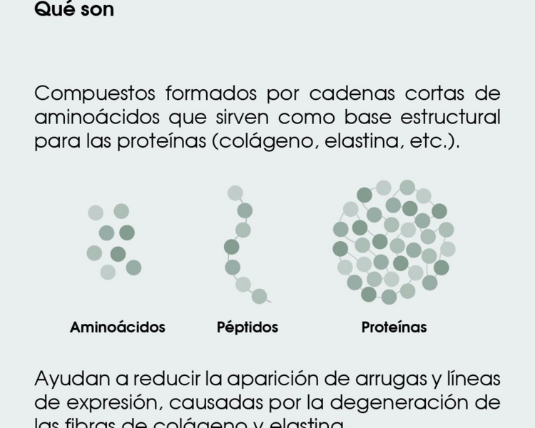 SKINCORRECTOR (EXOSOMAS, Factores de crecimiento, peptidos biomimeticos,etc.)