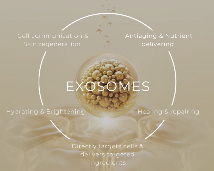 2 ses de SKINCORRECTOR