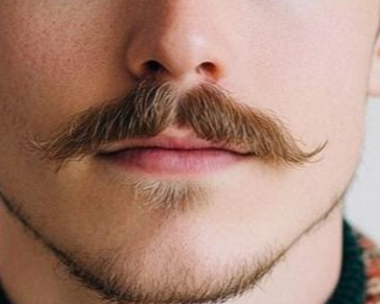 Arreglo de bigote