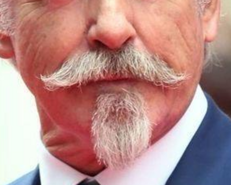 Arreglo de bigote