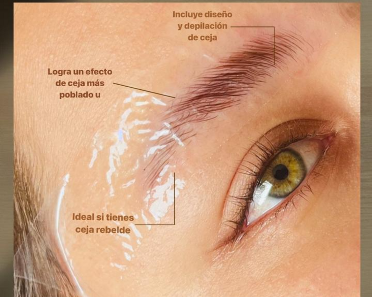 LAMINADO DE CEJAS