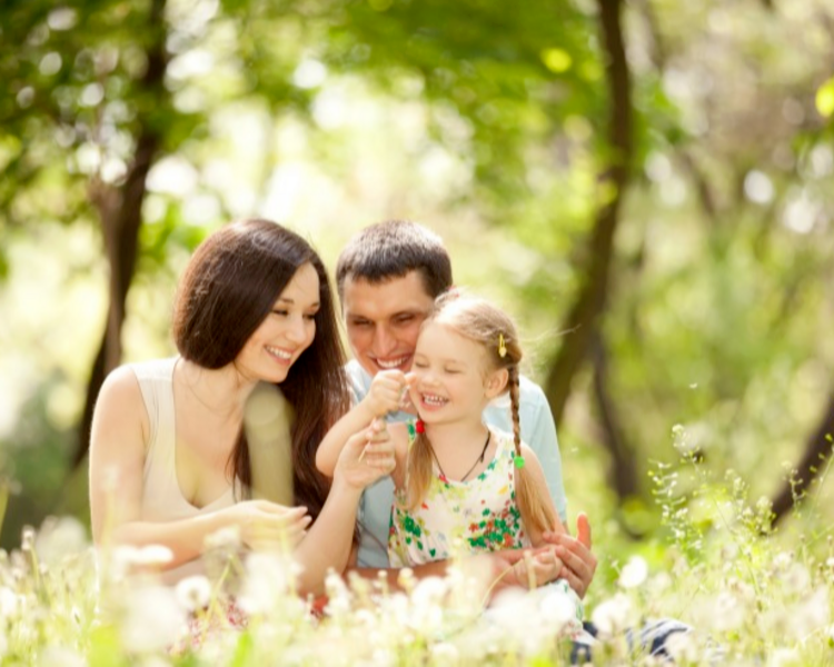 🟣 Terapia Familiar 100% Online