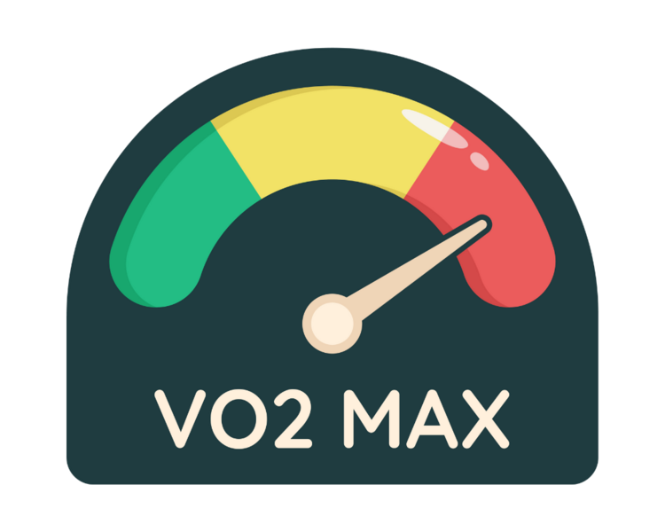 EVALUACIÓN VO2MAX