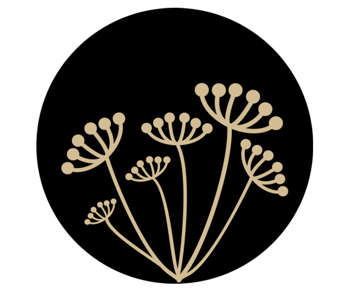 Tratamiento Rejuvenecedor +Punta de diamante +Radiofrecuencia tripolar