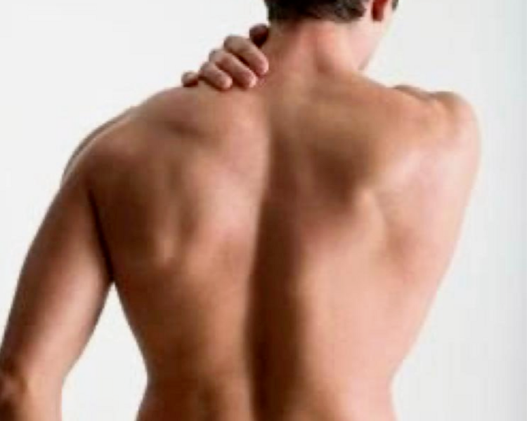 Brazos completo hombre 