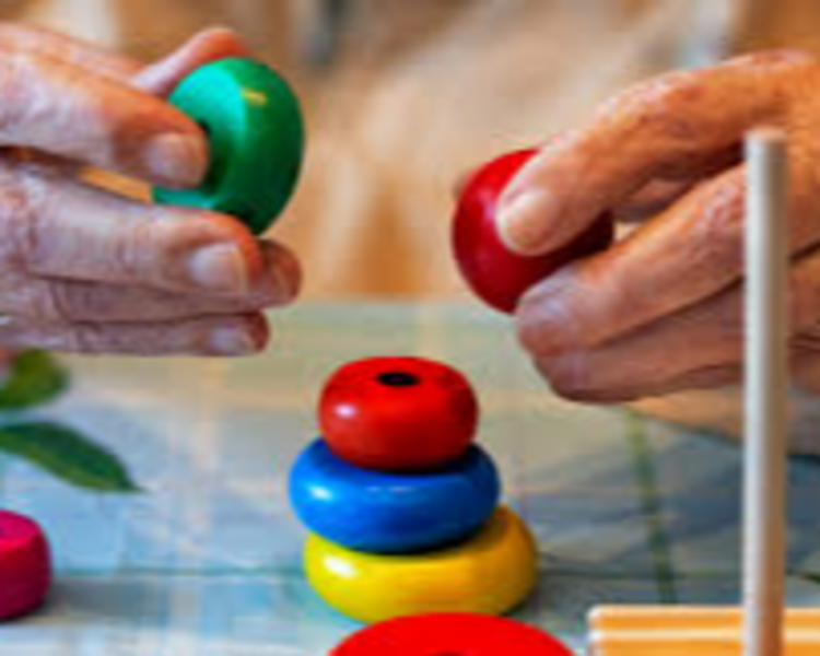 TERAPIA OCUPACIONAL ADULTO