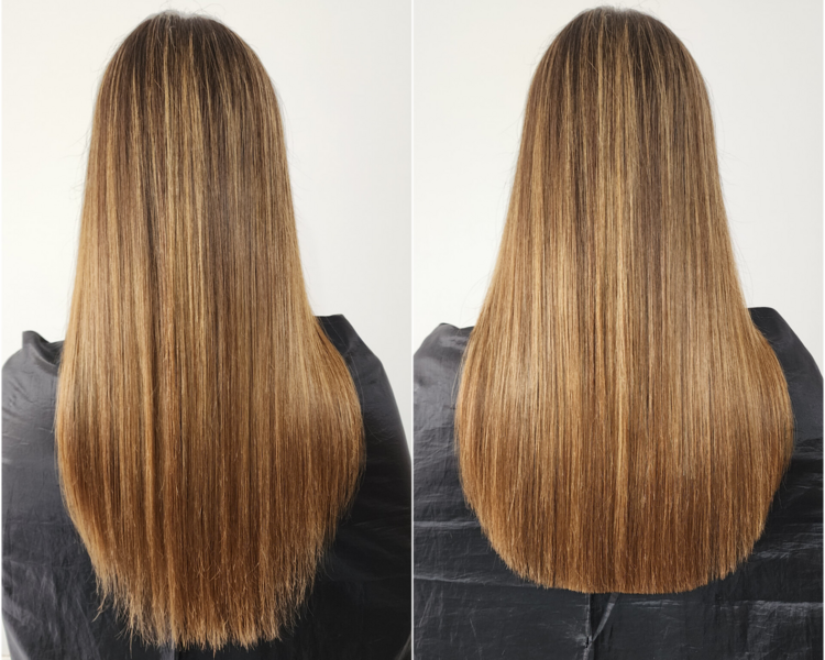 CORTE