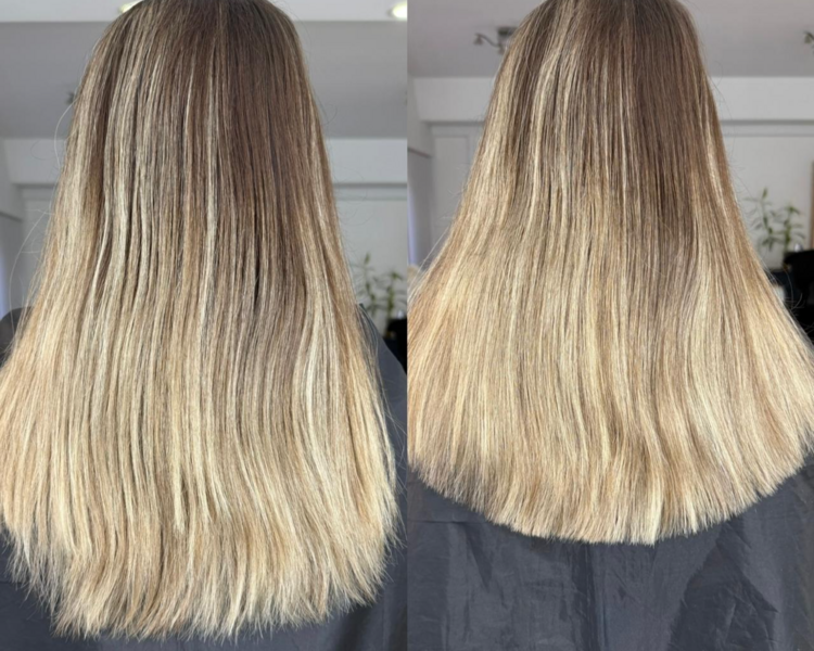 CORTE