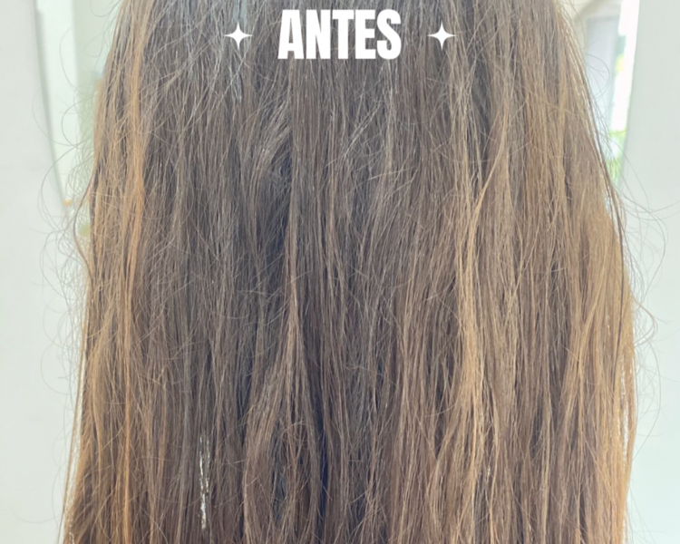 Alisado Plastificado