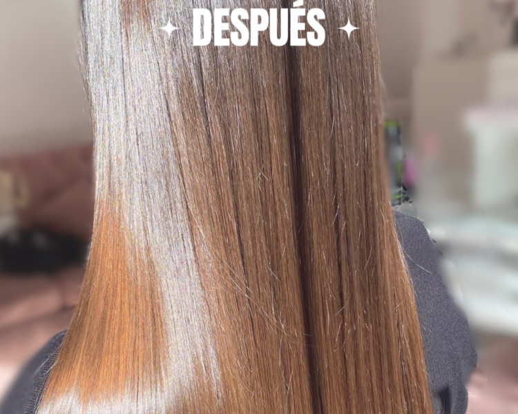 Alisado Plastificado