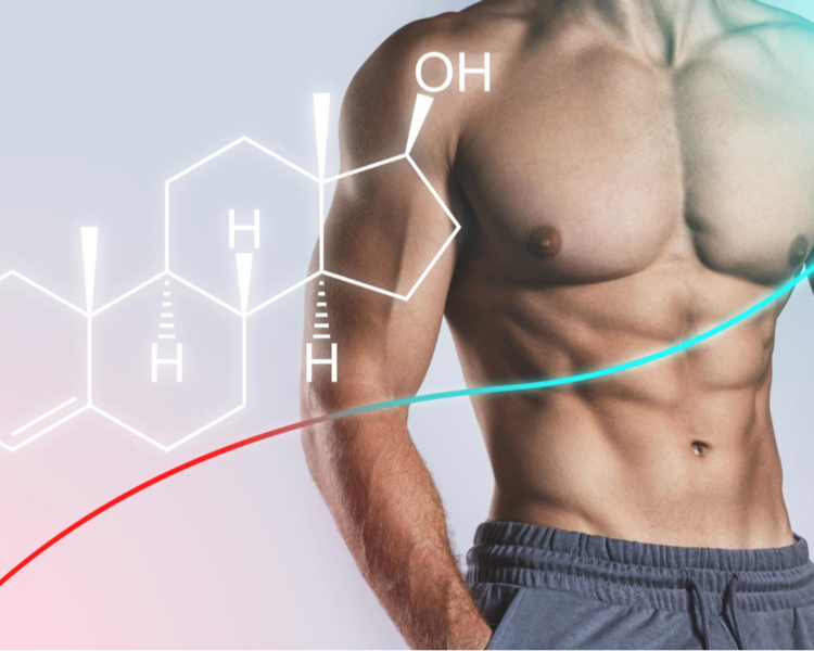 HIPERTROFIA MUSCULAR POR ZONA (Biceps/Triceps, Gluteos, Pecho)