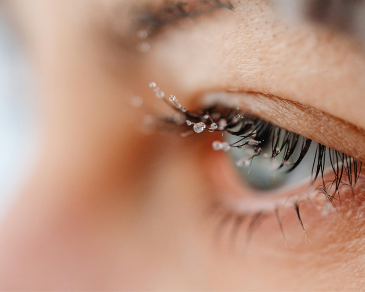 Botox nutritivo de cejas o pestañas