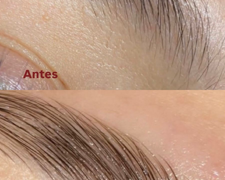 Diseño de cejas + Nivelación de color