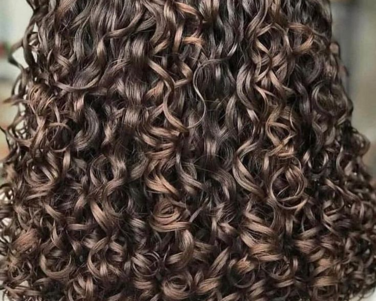 CELULAS MADRES - RIZOS