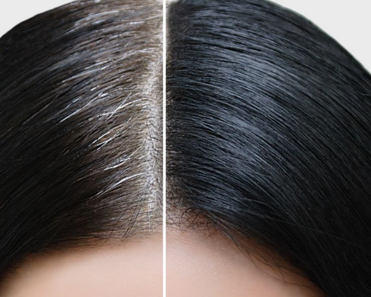 RETOQUE DE CANAS OSCURO