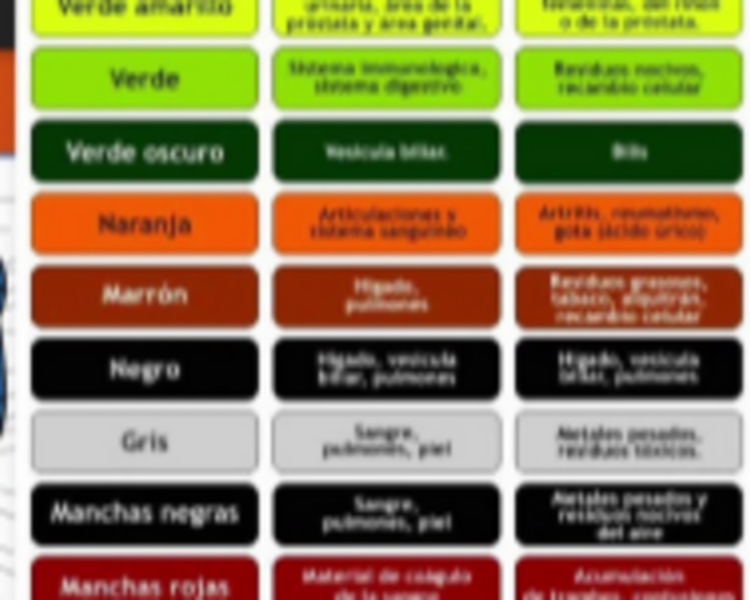 Desintoxicación Ionica