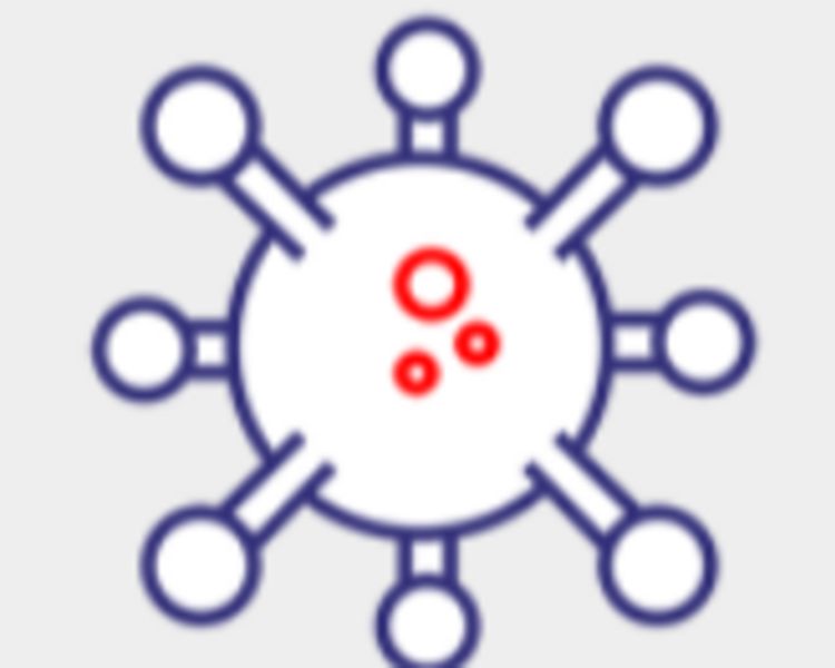 Panel viral PCR 24 horas