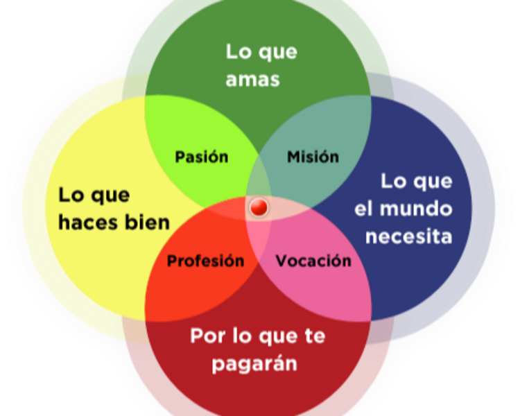 Consulta con Psicopedagogia. Lic. Marisol Berneix