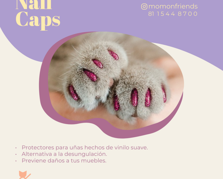 Nail Caps 2 patitas