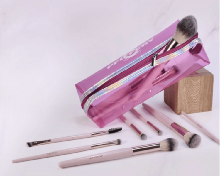 SET DE BROCHAS X10