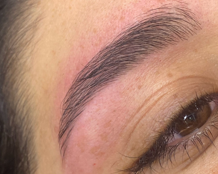 Diseño y Perfilado De Cejas