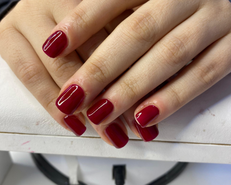 Manicuria semi
