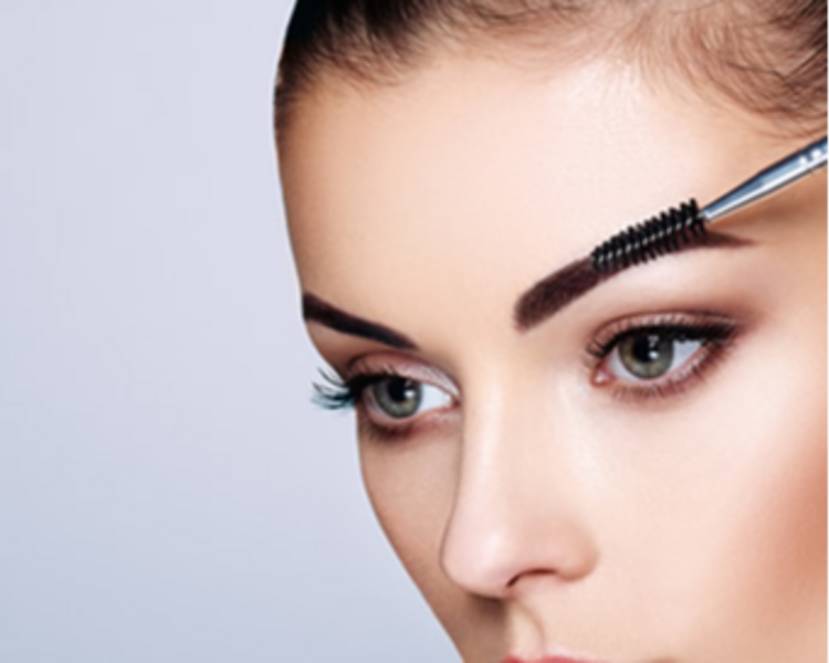 Fijación de Cejas