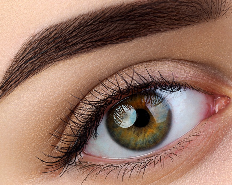 Tinte de Cejas con Henna
