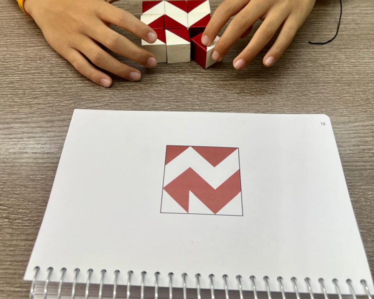 Evaluación Neuropsicológica