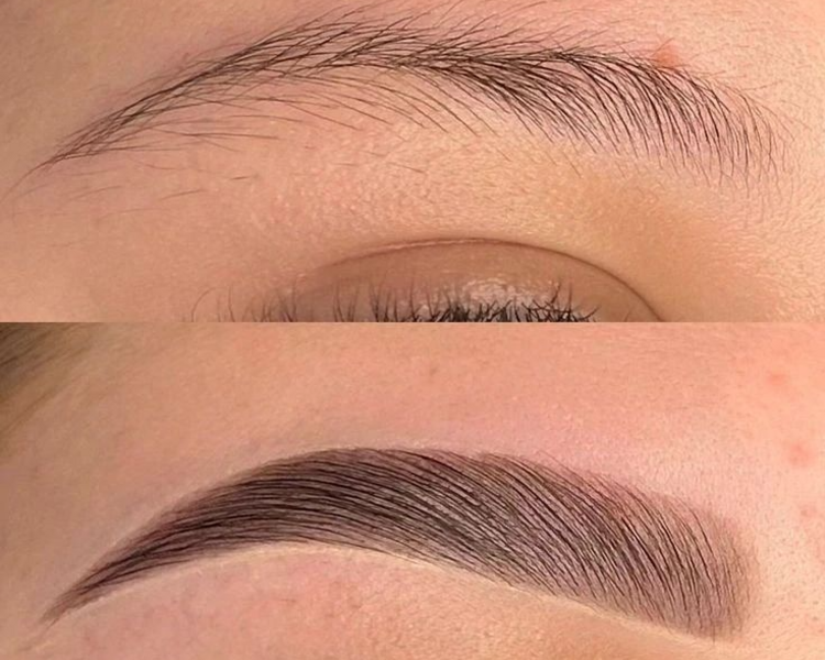 SEMIPIGEMNTACION DE CEJAS