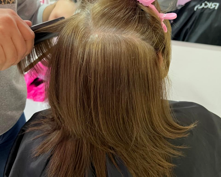 Planchado de Cabello